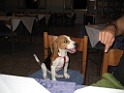 6 Settembre 2006 (16)